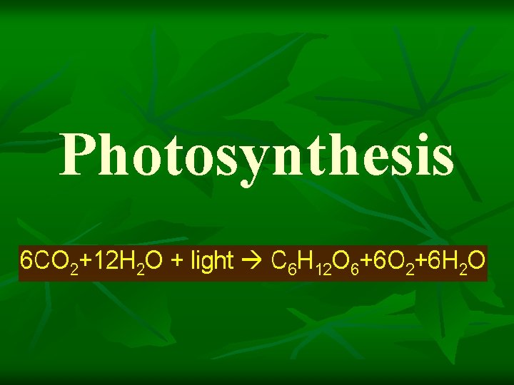 Photosynthesis Photosynthesis