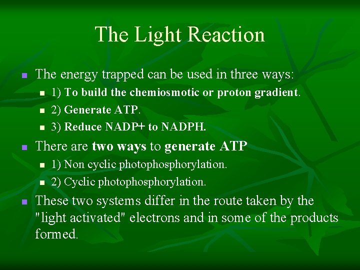 The Light Reaction n The energy trapped can be used in three ways: n The Light Reaction n The energy trapped can be used in three ways: n