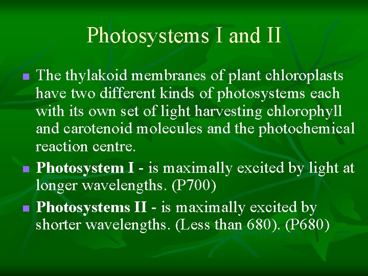 Photosystems I and II n n n The thylakoid membranes of plant chloroplasts have Photosystems I and II n n n The thylakoid membranes of plant chloroplasts have
