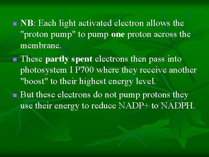 n n n NB: Each light activated electron allows the "proton pump" to pump n n n NB: Each light activated electron allows the "proton pump" to pump