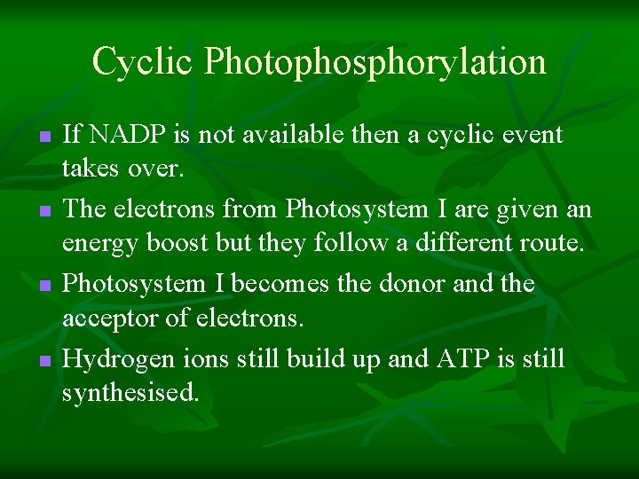 Cyclic Photophosphorylation n n If NADP is not available then a cyclic event takes Cyclic Photophosphorylation n n If NADP is not available then a cyclic event takes
