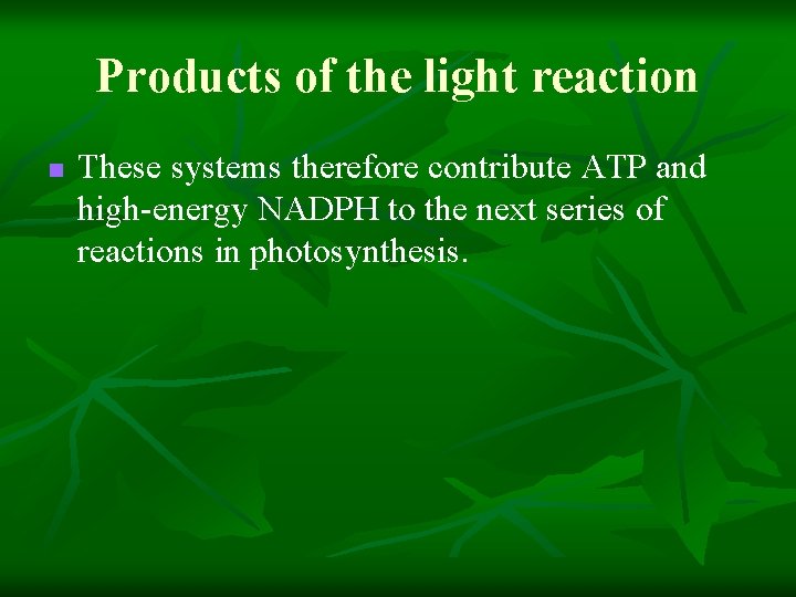 Products of the light reaction n These systems therefore contribute ATP and high-energy NADPH Products of the light reaction n These systems therefore contribute ATP and high-energy NADPH