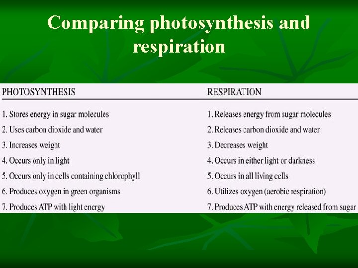 Comparing photosynthesis and respiration Comparing photosynthesis and respiration
