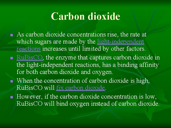 Carbon dioxide n n As carbon dioxide concentrations rise, the rate at which sugars Carbon dioxide n n As carbon dioxide concentrations rise, the rate at which sugars
