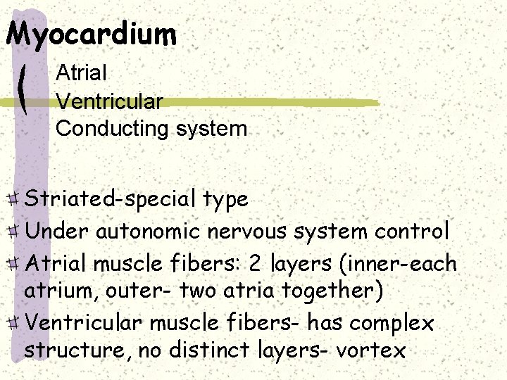 Myocardium Atrial Ventricular Conducting system Striated-special type Under autonomic nervous system control Atrial muscle