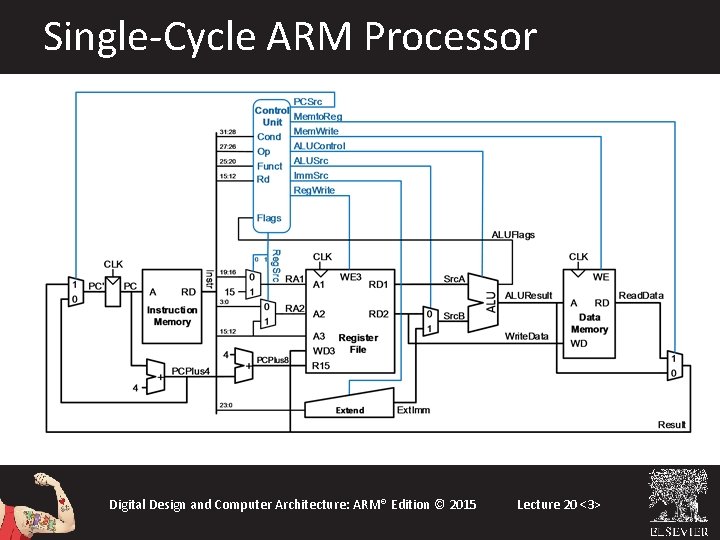 Single-Cycle ARM Processor Digital Design and Computer Architecture: ARM® Edition © 2015 Lecture 20 Single-Cycle ARM Processor Digital Design and Computer Architecture: ARM® Edition © 2015 Lecture 20