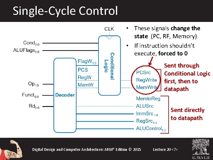 Single-Cycle Control • These signals change the state (PC, RF, Memory) • If instruction Single-Cycle Control • These signals change the state (PC, RF, Memory) • If instruction