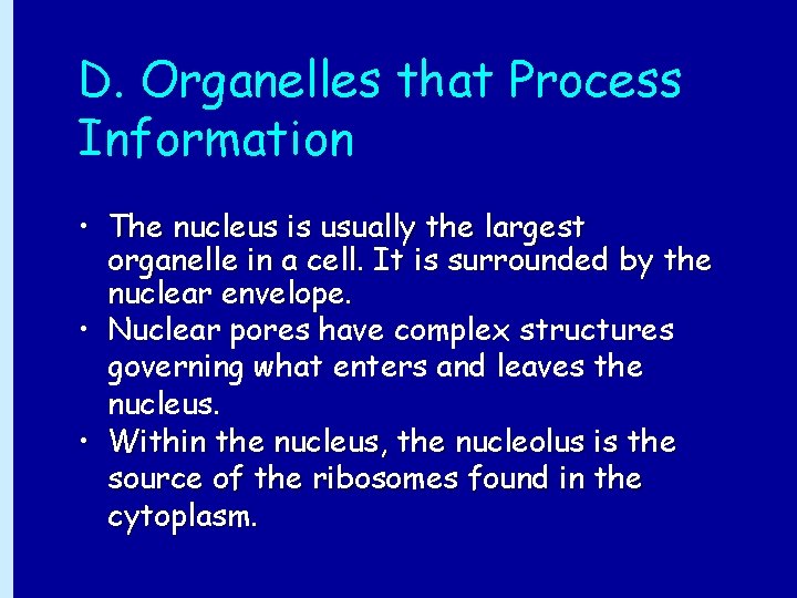 D. Organelles that Process Information • The nucleus is usually the largest organelle in