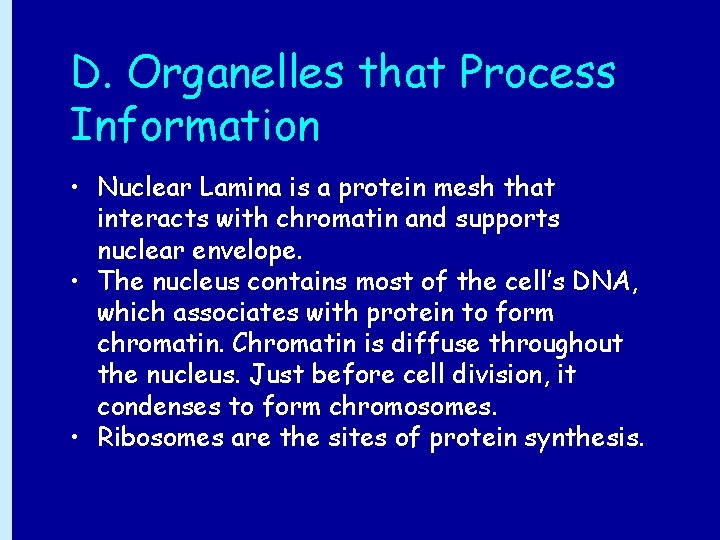 D. Organelles that Process Information • Nuclear Lamina is a protein mesh that interacts