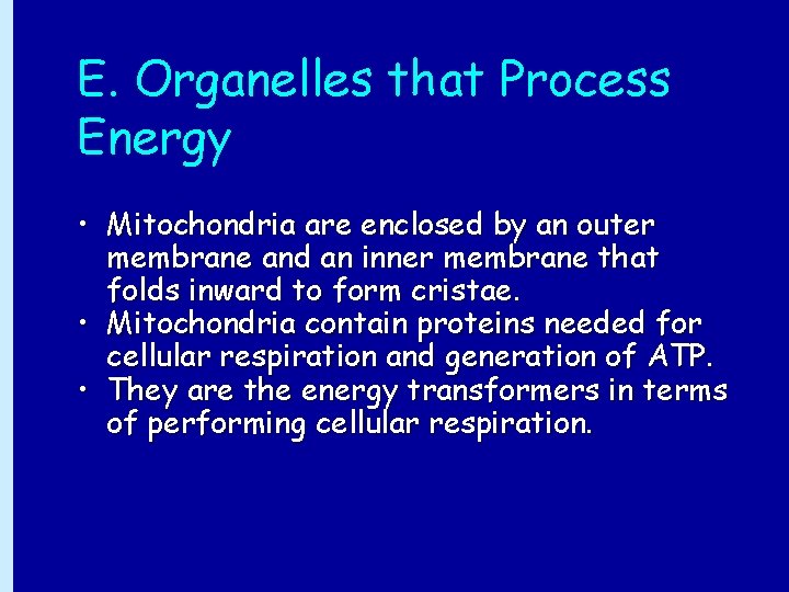 E. Organelles that Process Energy • Mitochondria are enclosed by an outer membrane and