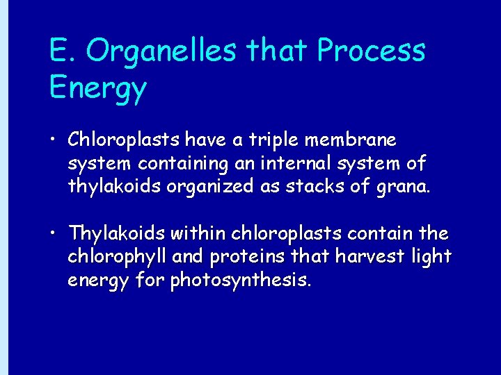 E. Organelles that Process Energy • Chloroplasts have a triple membrane system containing an