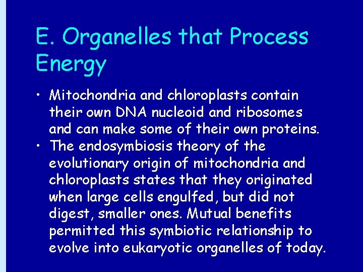 E. Organelles that Process Energy • Mitochondria and chloroplasts contain their own DNA nucleoid