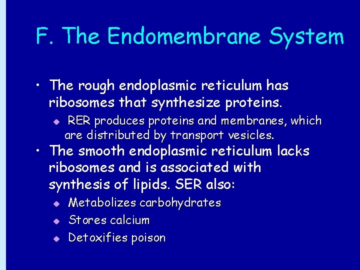F. The Endomembrane System • The rough endoplasmic reticulum has ribosomes that synthesize proteins.