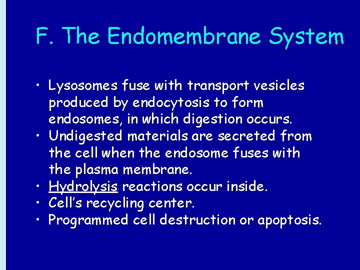 F. The Endomembrane System • Lysosomes fuse with transport vesicles produced by endocytosis to