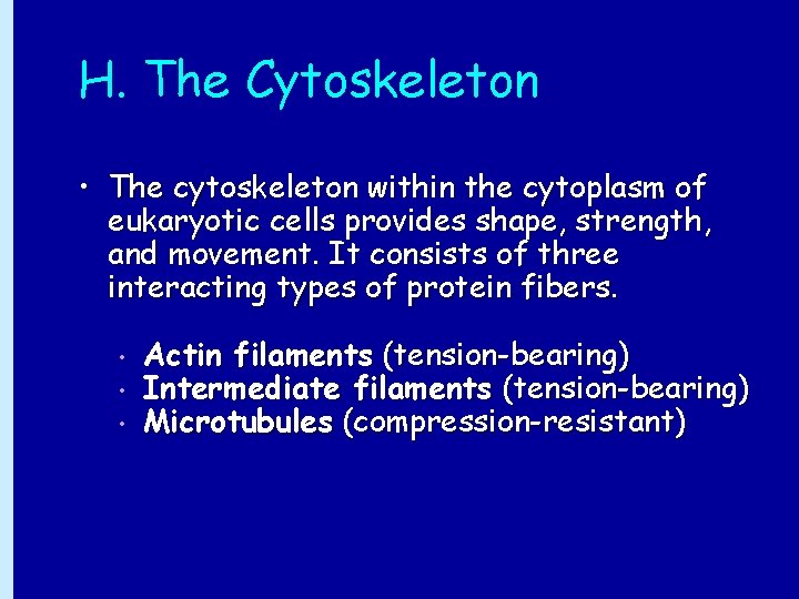 H. The Cytoskeleton • The cytoskeleton within the cytoplasm of eukaryotic cells provides shape,