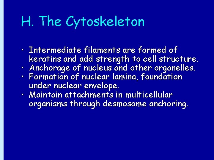 H. The Cytoskeleton • Intermediate filaments are formed of keratins and add strength to
