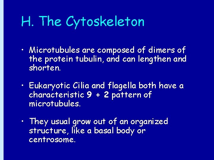 H. The Cytoskeleton • Microtubules are composed of dimers of the protein tubulin, and