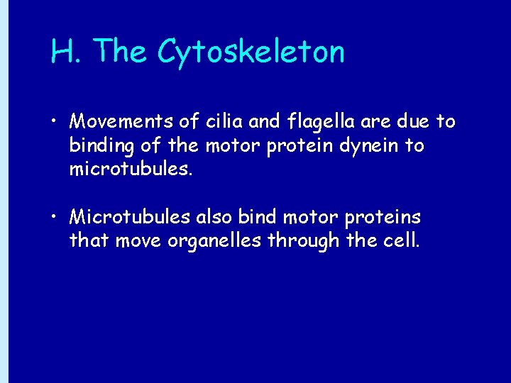 H. The Cytoskeleton • Movements of cilia and flagella are due to binding of