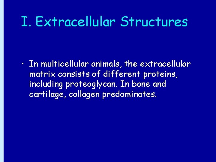 I. Extracellular Structures • In multicellular animals, the extracellular matrix consists of different proteins,