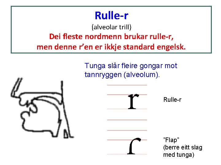 Rulle-r (alveolar trill) Dei fleste nordmenn brukar rulle-r, men denne r’en er ikkje standard