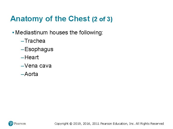 Anatomy of the Chest (2 of 3) • Mediastinum houses the following: – Trachea Anatomy of the Chest (2 of 3) • Mediastinum houses the following: – Trachea