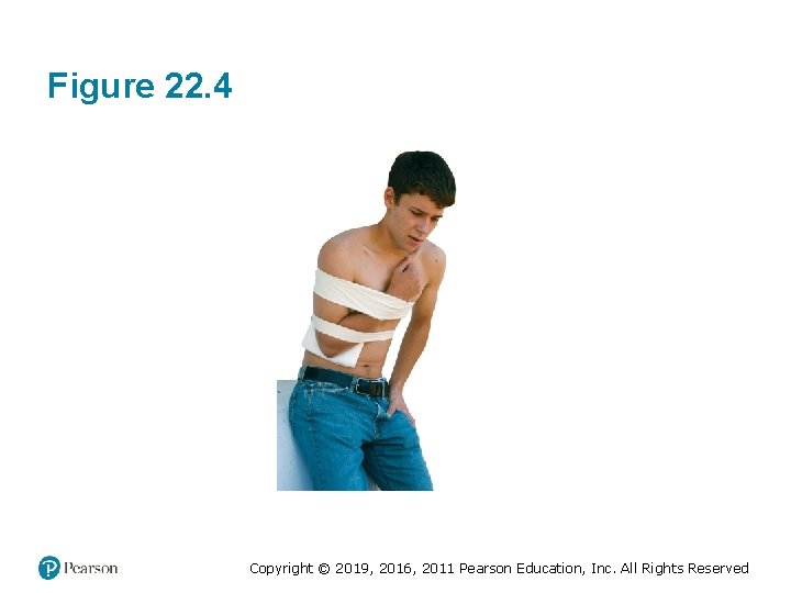 Figure 22. 4 Copyright © 2019, 2016, 2011 Pearson Education, Inc. All Rights Reserved Figure 22. 4 Copyright © 2019, 2016, 2011 Pearson Education, Inc. All Rights Reserved