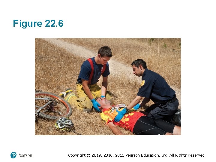 Figure 22. 6 Copyright © 2019, 2016, 2011 Pearson Education, Inc. All Rights Reserved Figure 22. 6 Copyright © 2019, 2016, 2011 Pearson Education, Inc. All Rights Reserved