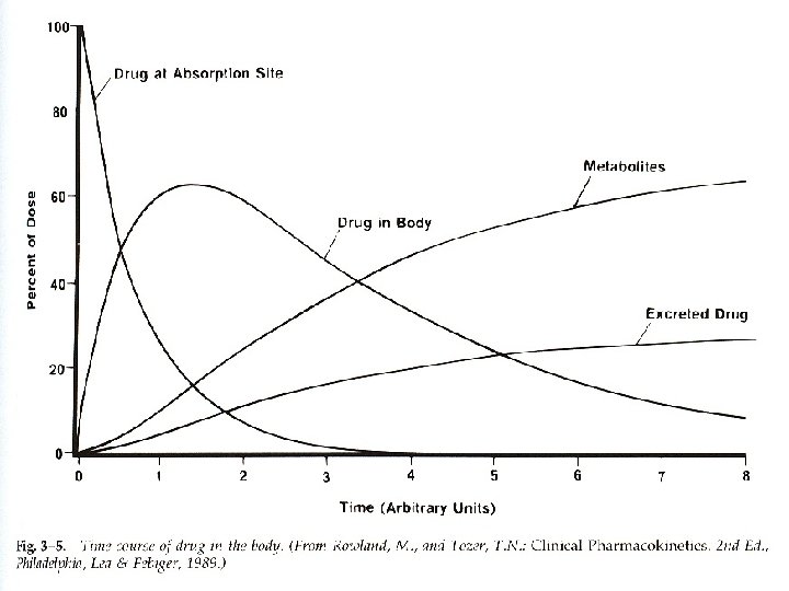 Plasma concentration (mg/m. L) Unsuccessful therapy Successful therapy Time (min) 