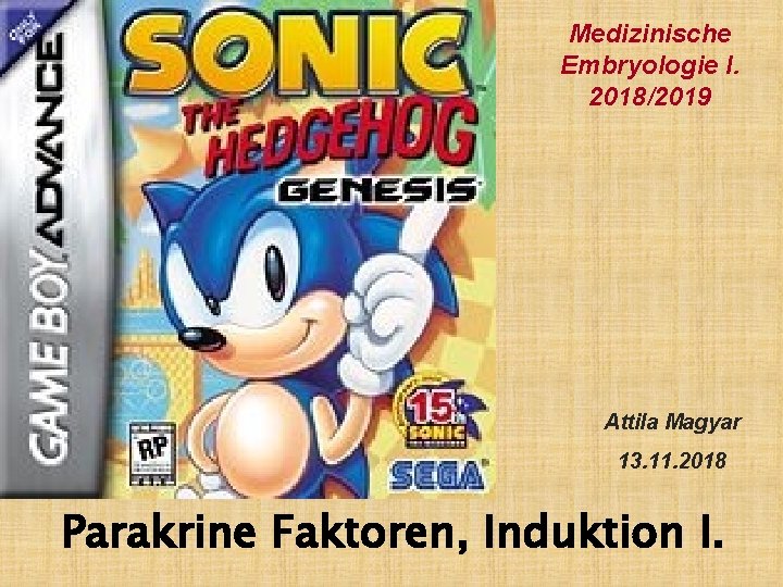 Medizinische Embryologie I. 2018/2019 Attila Magyar 13. 11. 2018 Parakrine Faktoren, Induktion I. 