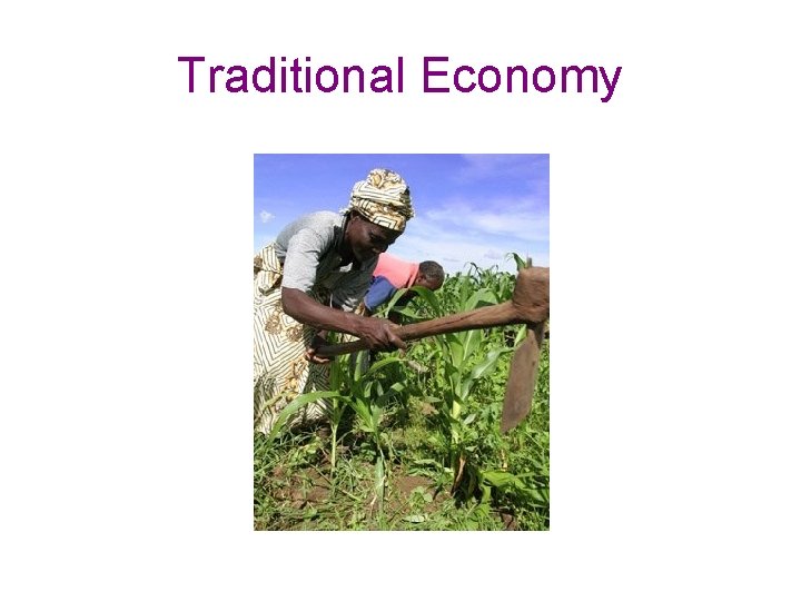 Traditional Economy 