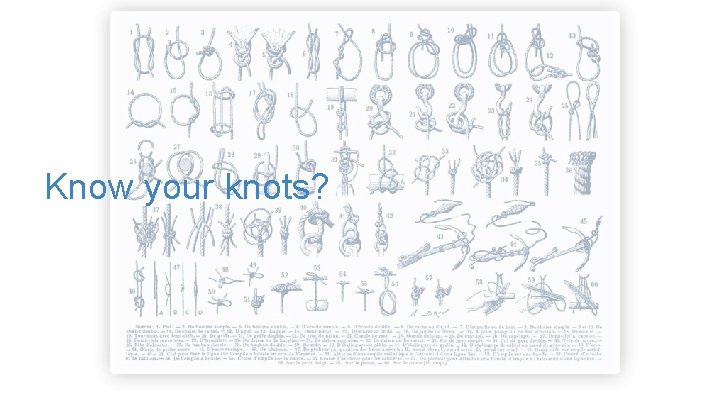 Know your knots? 
