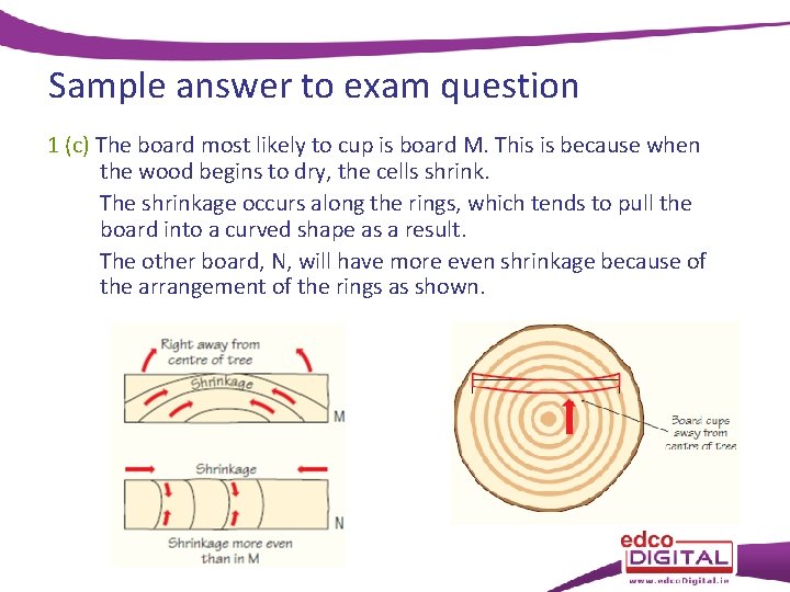 Sample answer to exam question 1 (c) The board most likely to cup is