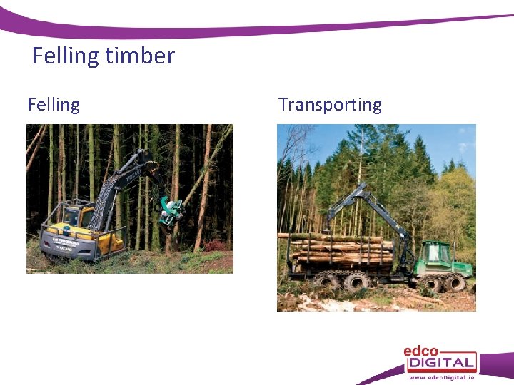 Felling timber Felling Transporting 