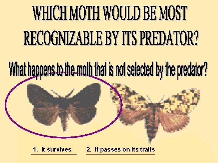 1. It survives ________ 2. It passes on its traits ____________ 