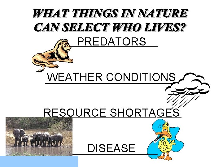 PREDATORS ______________ WEATHER CONDITIONS _____________________ RESOURCE SHORTAGES ________________________ DISEASE ______________ 