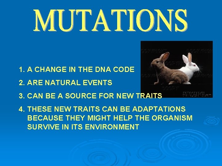 1. A CHANGE IN THE DNA CODE 2. ARE NATURAL EVENTS 3. CAN BE