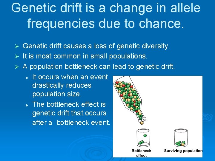 Genetic drift is a change in allele frequencies due to chance. Genetic drift causes