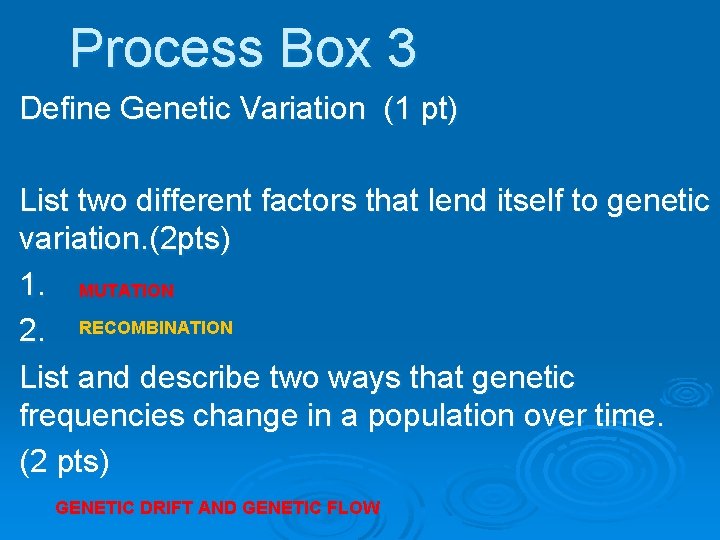 Process Box 3 Define Genetic Variation (1 pt) List two different factors that lend