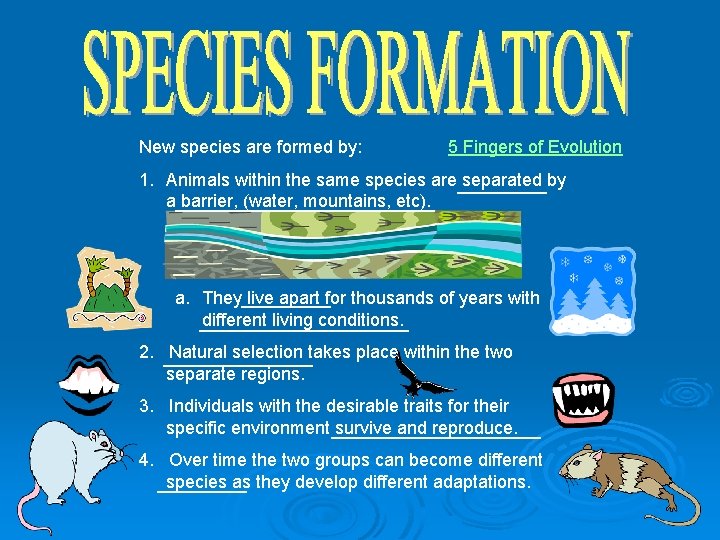 New species are formed by: 5 Fingers of Evolution 1. Animals within the same