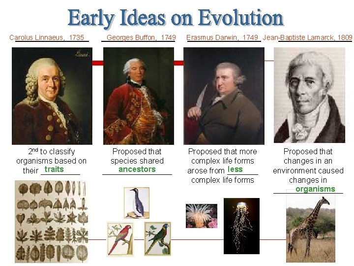 Carolus Linnaeus, 1735 Georges Buffon, 1749 Erasmus Darwin, 1749 Jean-Baptiste Lamarck, 1809 _______________ 2