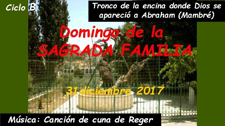 Ciclo B Tronco de la encina donde Dios se apareció a Abraham (Mambré) Domingo