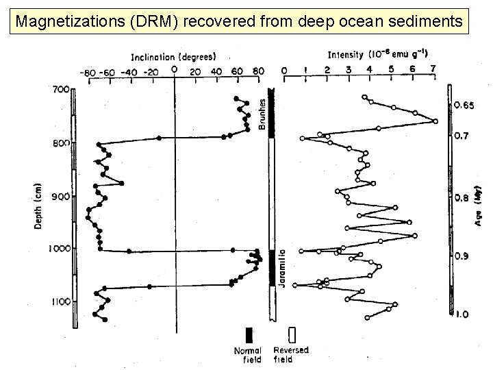 Magnetizations (DRM) recovered from deep ocean sediments 