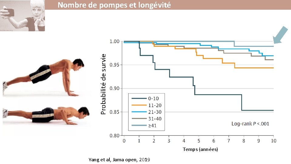 Probabilité de survie Nombre de pompes et longévité Temps (années) Yang et al, Jama Probabilité de survie Nombre de pompes et longévité Temps (années) Yang et al, Jama