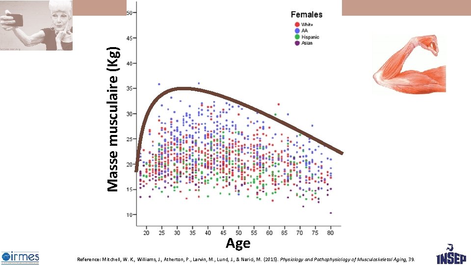 Masse musculaire (Kg) Age Reference: Mitchell, W. K. , Williams, J. , Atherton, P. Masse musculaire (Kg) Age Reference: Mitchell, W. K. , Williams, J. , Atherton, P.