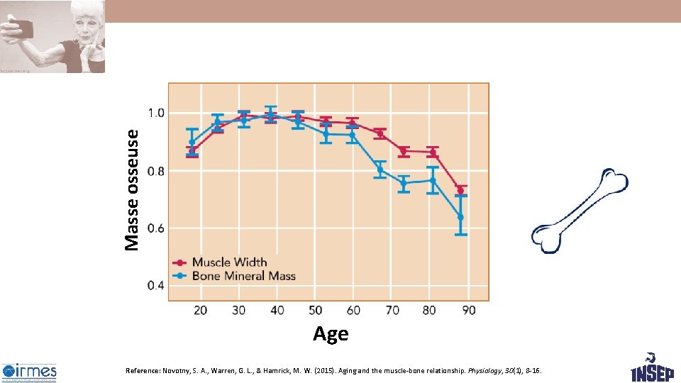 Masse osseuse Age Reference: Novotny, S. A. , Warren, G. L. , & Hamrick, Masse osseuse Age Reference: Novotny, S. A. , Warren, G. L. , & Hamrick,