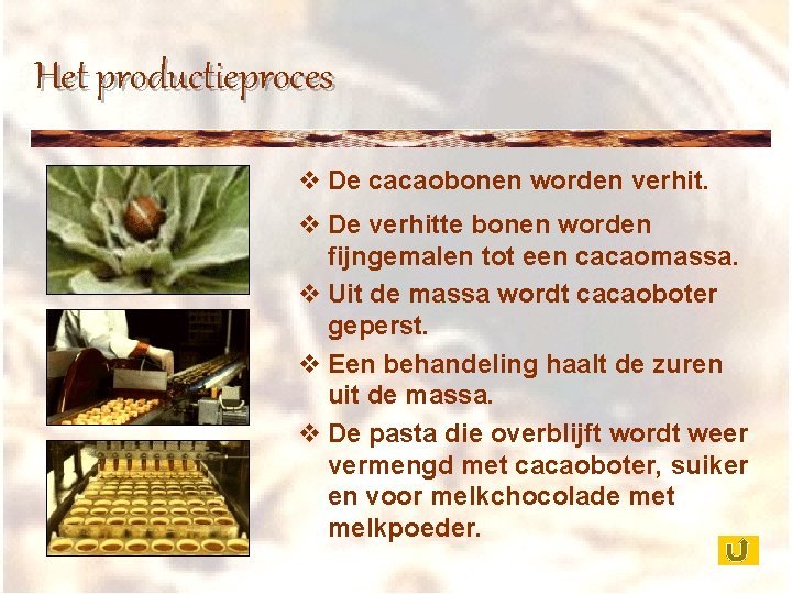Het productieproces v De cacaobonen worden verhit. v De verhitte bonen worden fijngemalen tot