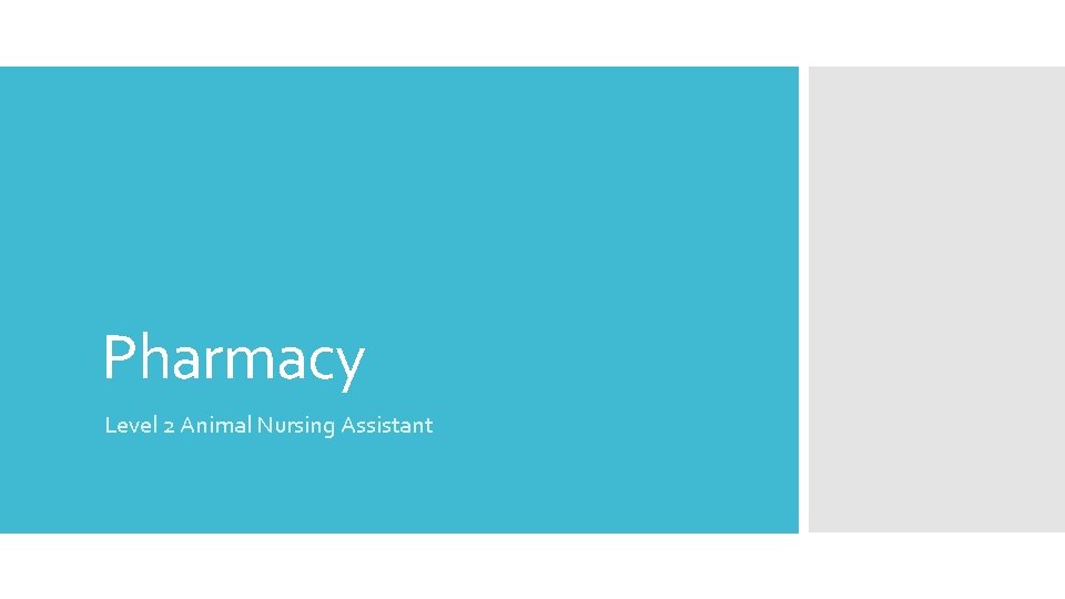 Pharmacy Level 2 Animal Nursing Assistant Pharmacy Level 2 Animal Nursing Assistant