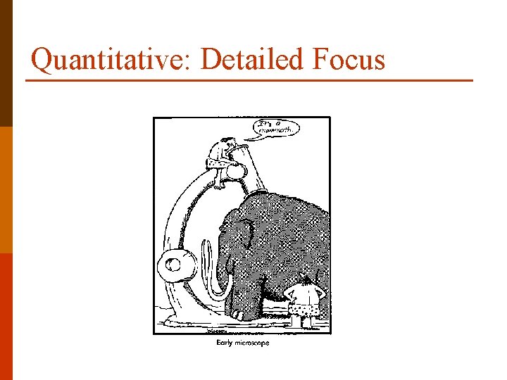 Quantitative: Detailed Focus 