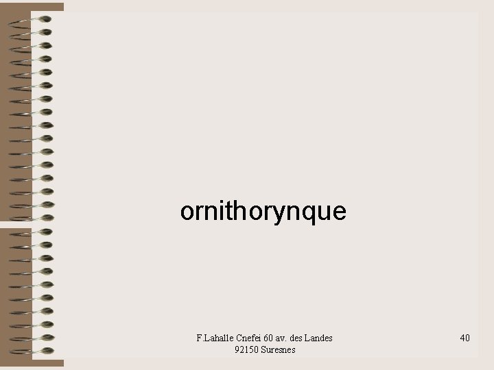ornithorynque F. Lahalle Cnefei 60 av. des Landes 92150 Suresnes 40 