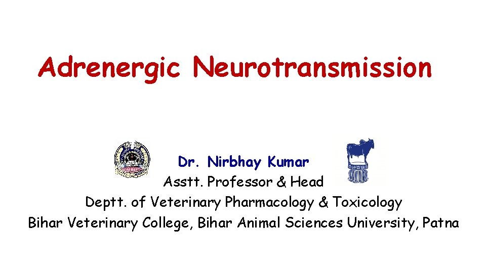 Adrenergic Neurotransmission Dr. Nirbhay Kumar Asstt. Professor & Head Deptt. of Veterinary Pharmacology &
